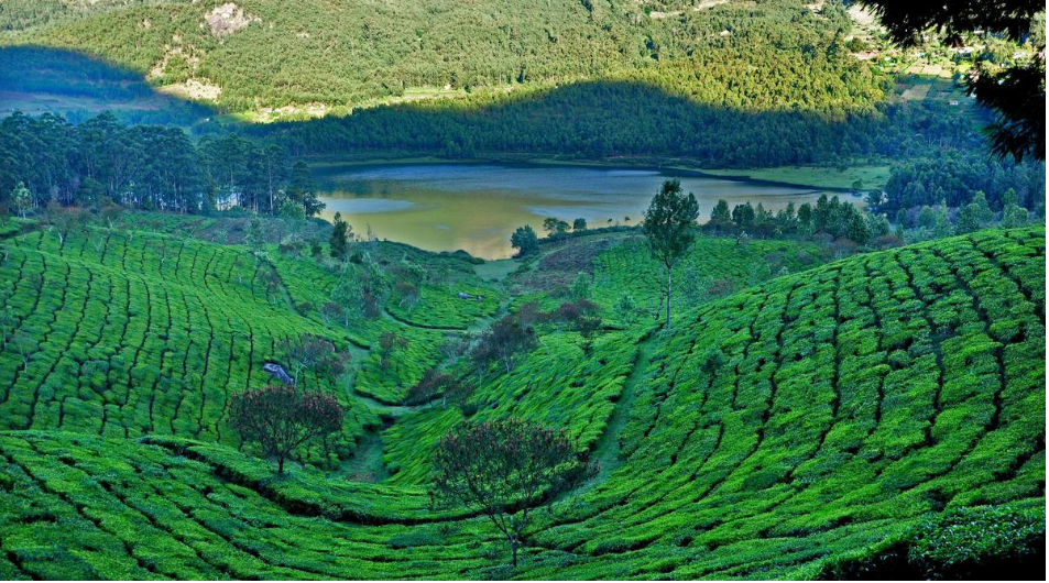 Munnar