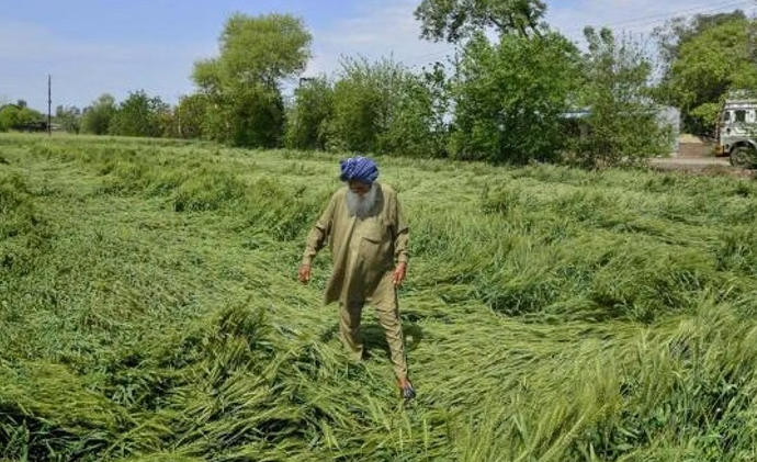 punjab