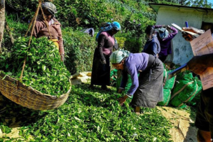 Workers in Sri Lanka