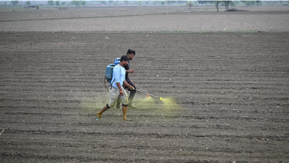 New AI Platform to Connect Farmers