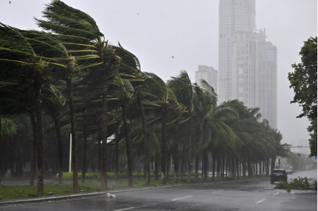 Typhoon Yagi Claims