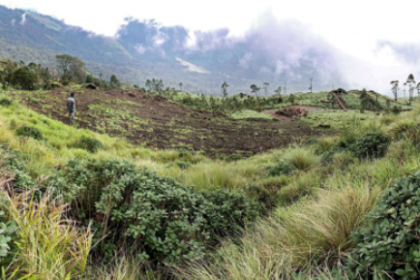 Decoding Environmental Clues