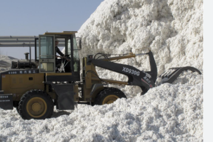 : China Investigates