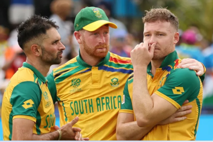 Rollicking Proteas