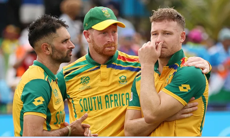 Rollicking Proteas