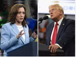 Kamala Harris Engages in Media