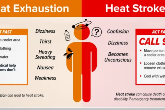 Understanding Heat Stroke