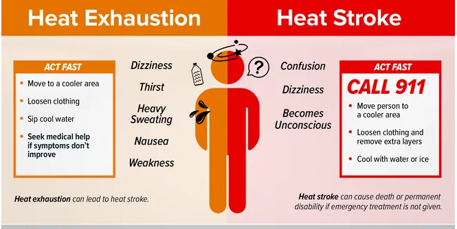 Understanding Heat Stroke