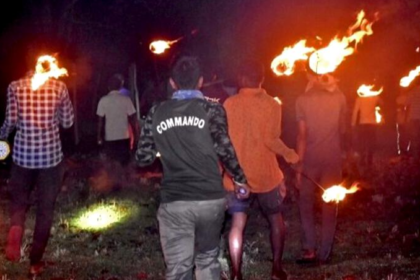 Balancing Human-Wildlife