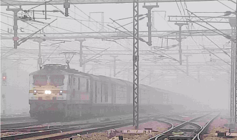 Dense Fog Envelops Delhi