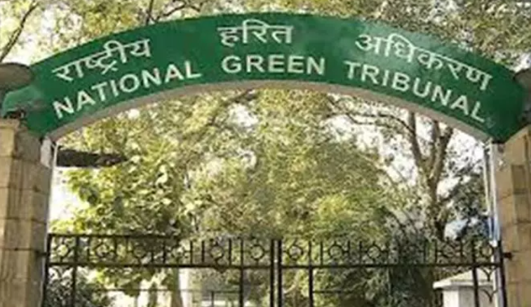 NGT Summons