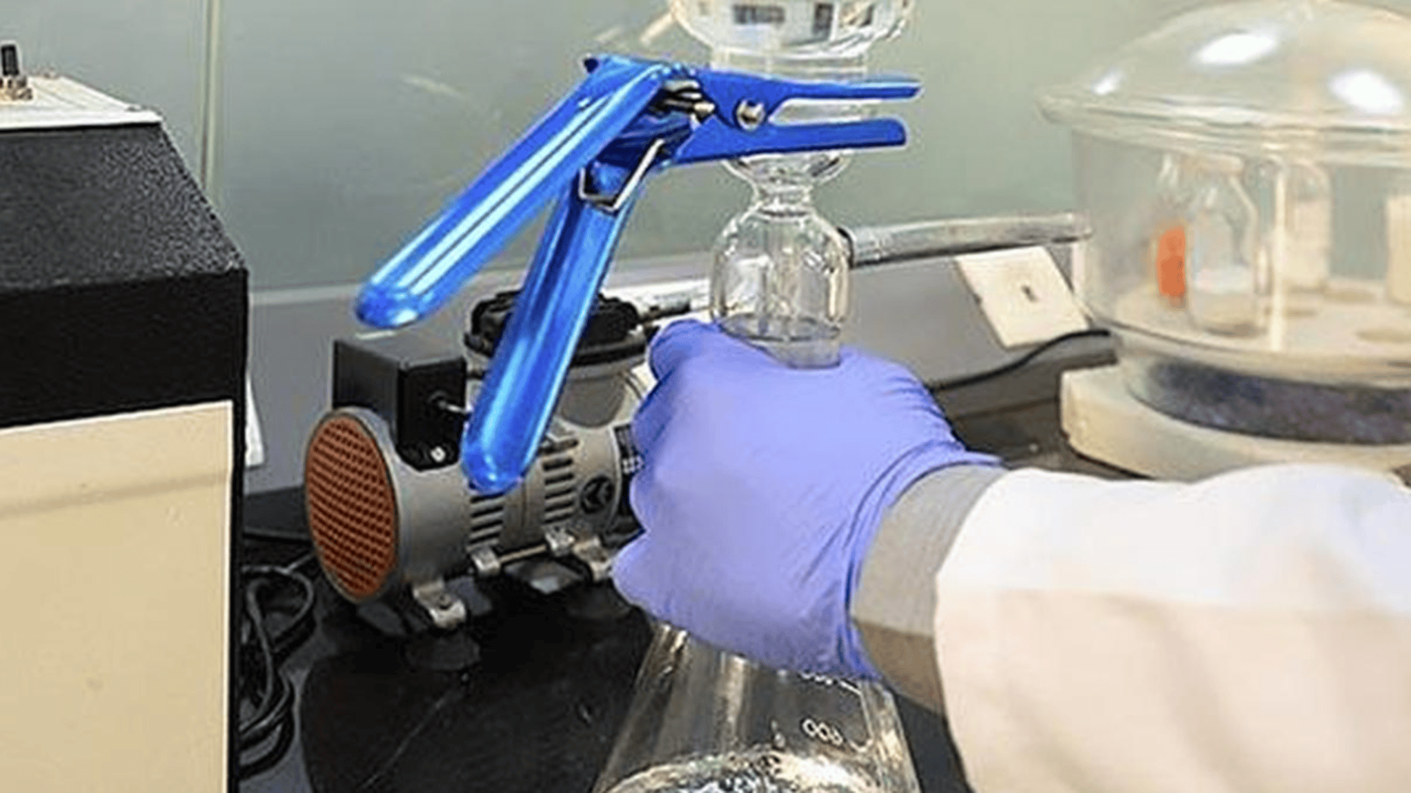 What Are Bio-Based Chemicals and Enzymes