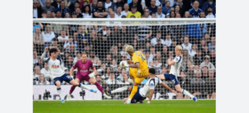 Tottenham Reports Racist