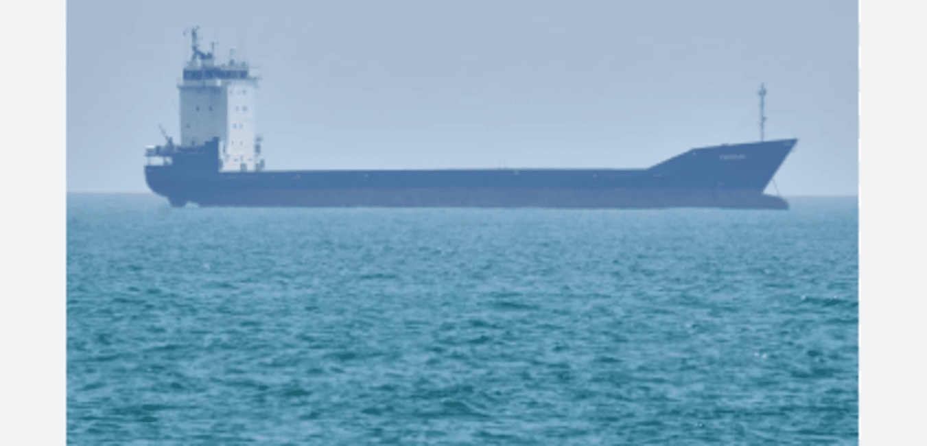 Iran Attacks Ship in Strait of Hormuz