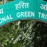 NGT Warns Southern States