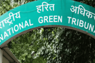 NGT Warns Southern States