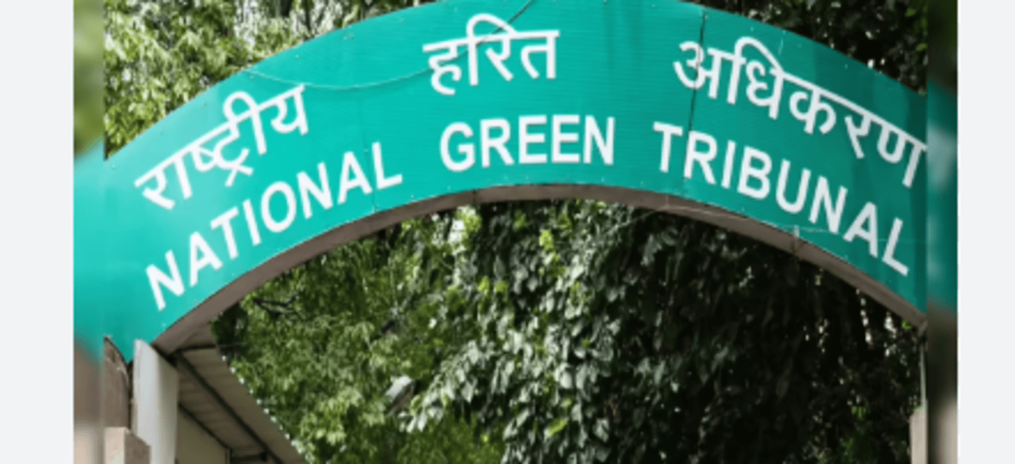 NGT Warns Southern States